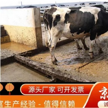 養(yǎng)牛場刮糞機設備出糞機