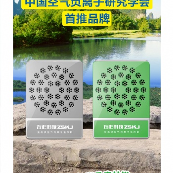 左杉 負(fù)離子發(fā)生器家用負(fù)氧離子機(jī)空氣凈化器