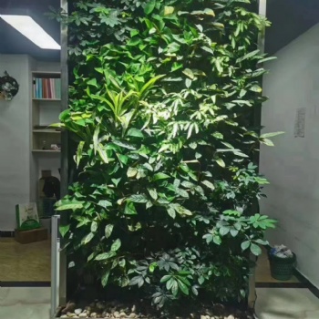 專業(yè)制作安裝植物墻立體綠化