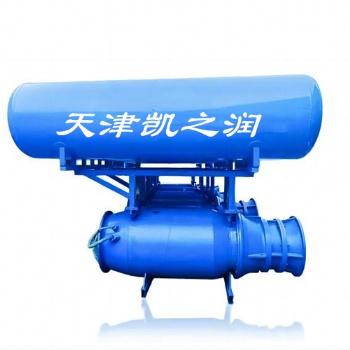 河道提水浮筒式潛水軸流泵