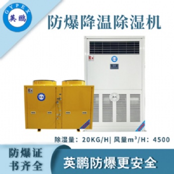 英鵬（GYPEX）調(diào)溫降溫耐高溫型防爆除濕機工業(yè)工廠倉庫除濕機