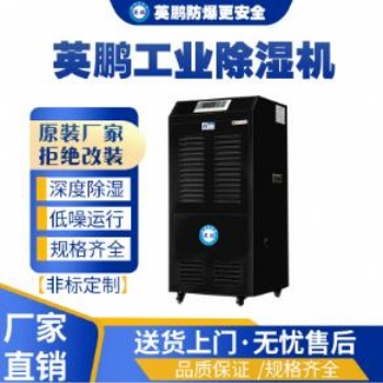 英鵬貴重物品倉庫工業(yè)除濕機BD-8138H