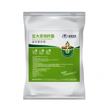 益昊生物 山東菌劑廠家 供應(yīng)優(yōu)質(zhì)巨大芽孢桿菌 農(nóng)業(yè)種植 生物有機(jī)肥添加