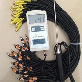 混凝土測(cè)溫儀|混凝土電子測(cè)溫儀|建筑電子測(cè)溫儀|電子測(cè)溫儀