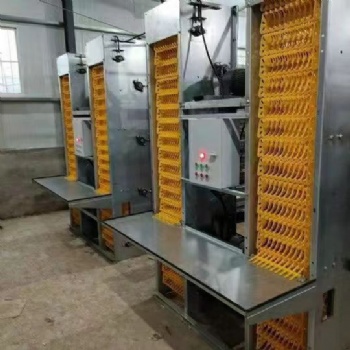 自動(dòng)撿蛋機(jī)層疊式撿蛋機(jī)階梯式撿蛋機(jī)?