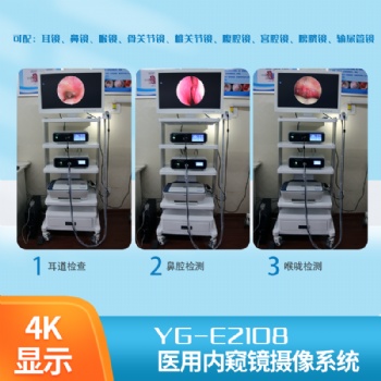 可視采耳設備**排名 可視采耳儀器型號價格多少錢 可視采耳儀器尺寸大小 可視采耳設備操作過程