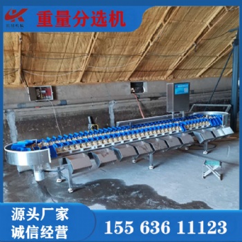 泥猴桃全自動(dòng)稱重分級分選機(jī)大青棗重量分揀機(jī)稱重機(jī)