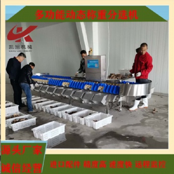 枇杷全自動(dòng)稱重分選機(jī)橄欖重量分級分揀機(jī)稱重機(jī)