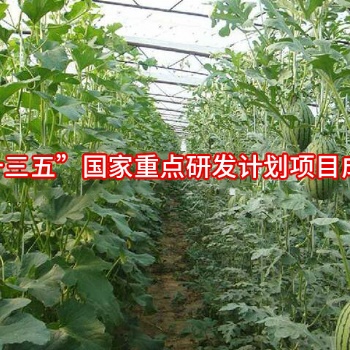 PO膜系列--光能寶1號(hào)簡(jiǎn)介