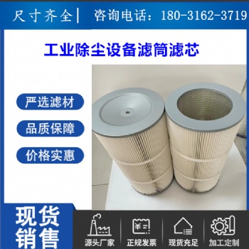 工業(yè)除塵濾筒350X660過(guò)濾性能好粉塵濾芯325X600靜電噴涂濾筒